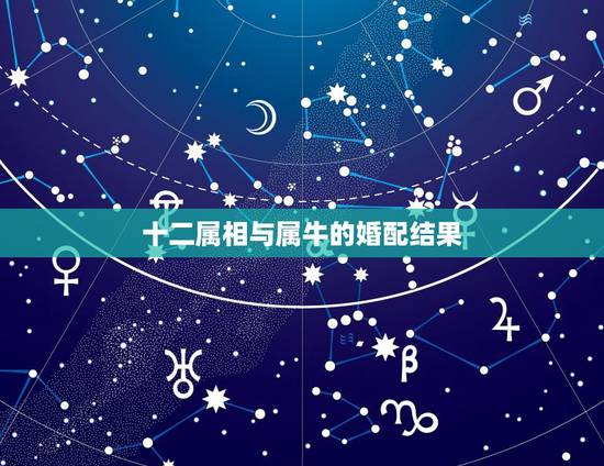 十二属相与属牛的婚配结果，属牛的好什么属相相配啊？