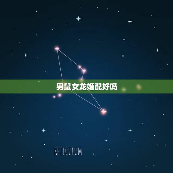 男鼠女龙婚配好吗,属龙和属鼠的合不合 男鼠女龙婚配好吗,属龙和属鼠的合不合