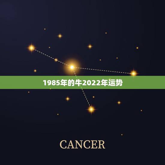 1985年的牛2022年运势，1985属牛的人，到底2021年运势如何