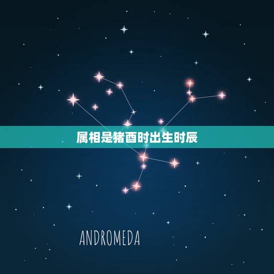 属相是猪酉时出生时辰,十二生肖相对应的时辰? 属相是猪酉时出生时辰,十二生肖相对应的时辰?