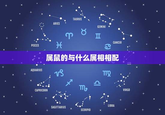 属鼠的与什么属相相配，生肖鼠最佳配对属相？