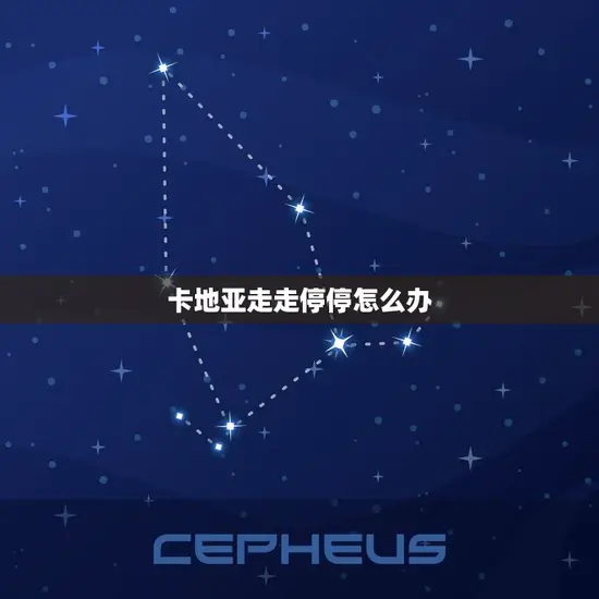 卡地亚走走停停怎么办