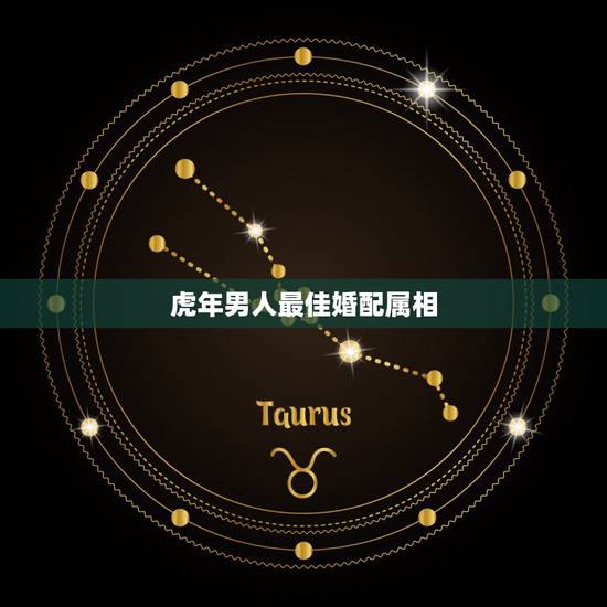 虎年男人最佳婚配属相,属虎婚配表,虎男跟什么属相最配 虎年男人最佳婚配属相,属虎婚配表,虎男跟什么属相最配
