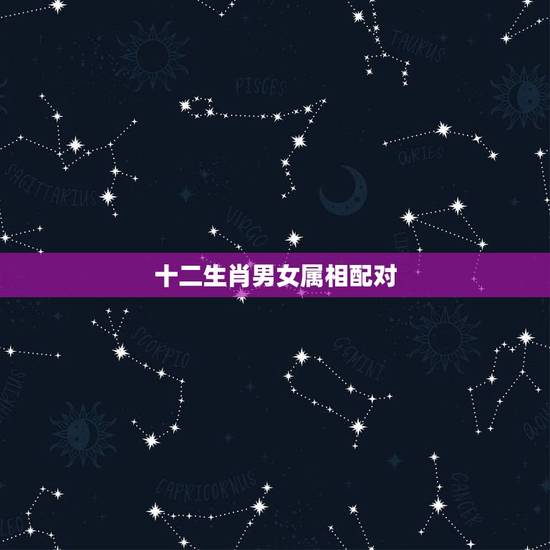 十二生肖男女属相配对，十二生肖更佳婚配表