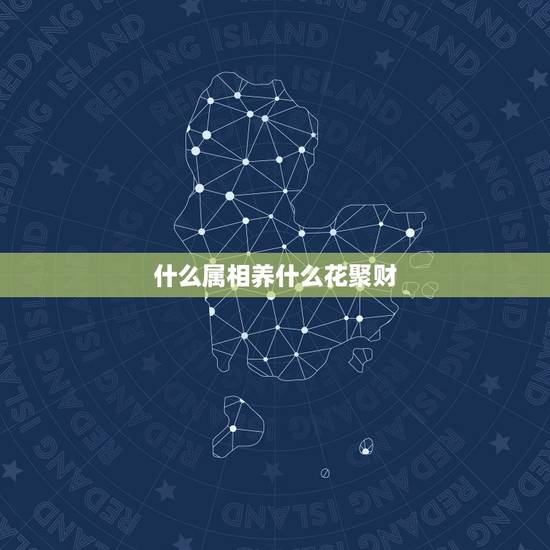 什么属相养什么花聚财，属猪的人养开花的花放在什么位置开运