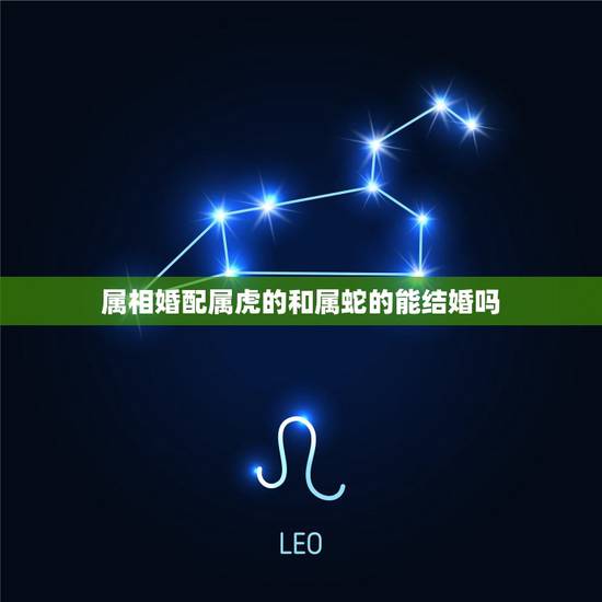 属相婚配属虎的和属蛇的能结婚吗，蛇和虎在一起有财运吗