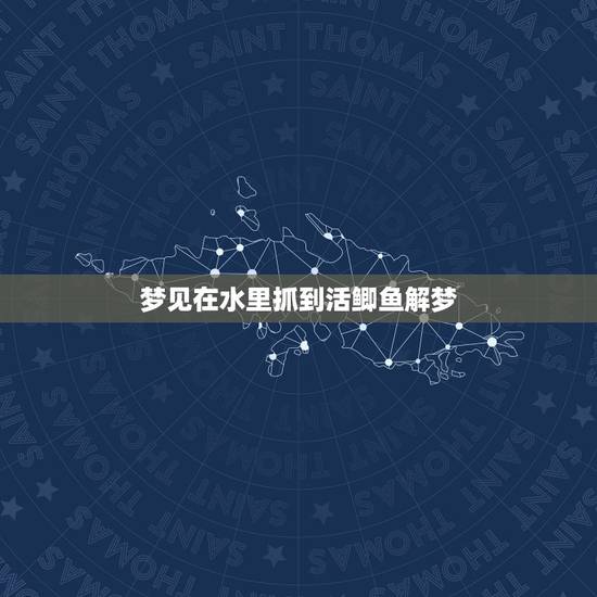 梦见在水里抓到活鲫鱼解梦，梦见捉鲫鱼