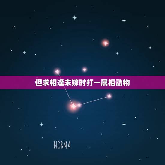 但求相逢未嫁时打一属相动物，谜语大全：恨不相逢未嫁时