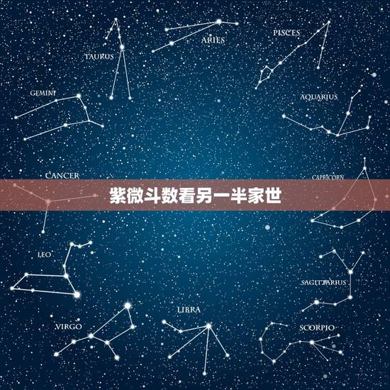 紫微斗数看另一半家世，紫微斗数看另一半长相