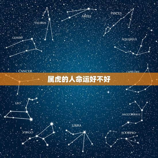 属虎的人命运好不好,2022年虎年不宜生子的属相 属虎的人命运好不好,2022年虎年不宜生子的属相