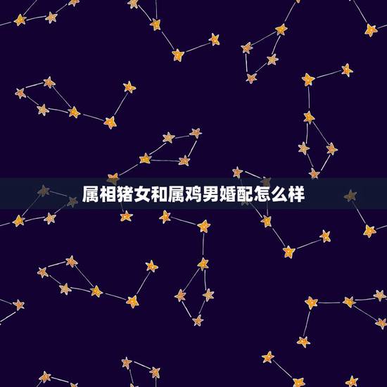 属相猪女和属鸡男婚配怎么样，男属鸡与女属猪相配吗