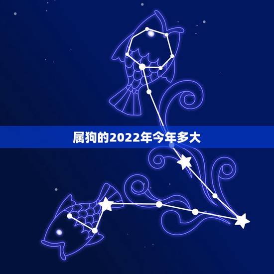 属狗的2022年今年多大，生肖狗2023年运势大全
