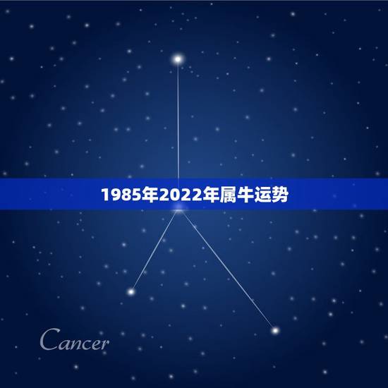 1985年2022年属牛运势,1985年2022年运势 1985年2022年属牛运势,1985年2022年运势