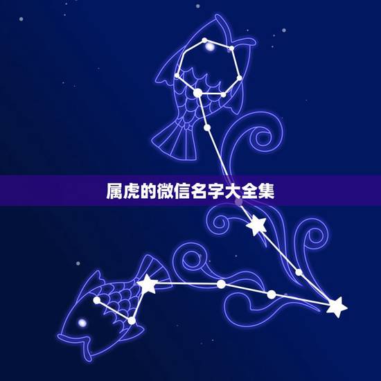 属虎的微信名字大全集，属虎微信网名叫什么好呢