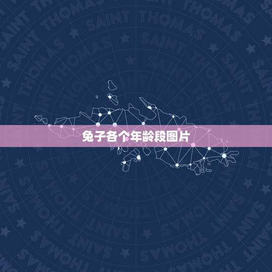 兔子各个年龄段图片,兔子多大就停止生长了 兔子各个年龄段图片,兔子多大就停止生长了