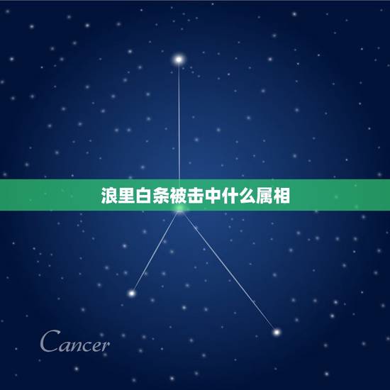 浪里白条被击中什么属相,浪里白条被击中。什么肖? 浪里白条被击中什么属相,浪里白条被击中。什么肖?