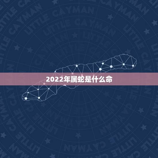 2022年属蛇是什么命，2023年是什么命五行属什么