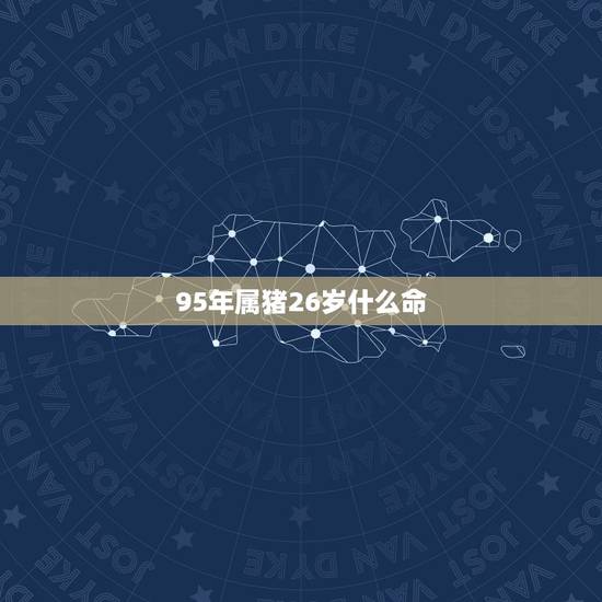 95年属猪26岁什么命，95年属猪是什么命