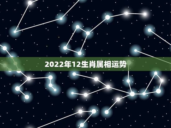 2022年12生肖属相运势,2021十二生肖的全年运势 2022年12生肖属相运势,2021十二生肖的全年运势