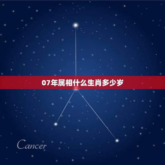 07年属相什么生肖多少岁,2007年生肖是什么 07年属相什么生肖多少岁,2007年生肖是什么