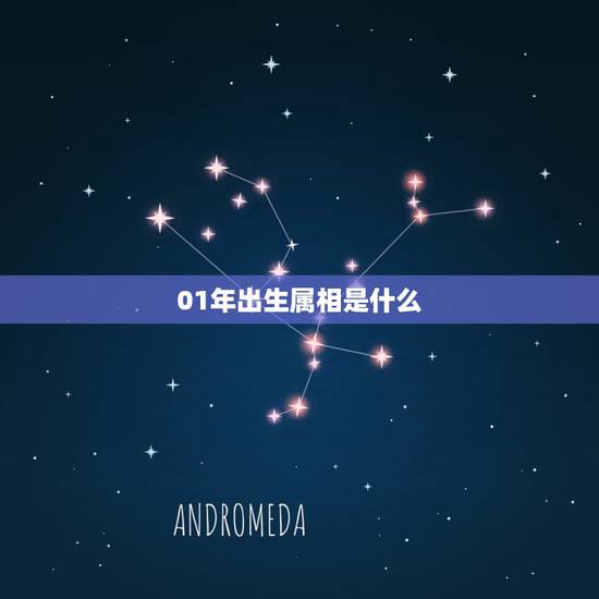 01年出生属相是什么，阳历2001年1月出生属相是什么？