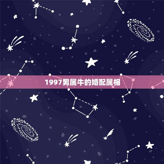 1997男属牛的婚配属相,97年女属牛的和什么属相最配? 1997男属牛的婚配属相,97年女属牛的和什么属相最配?