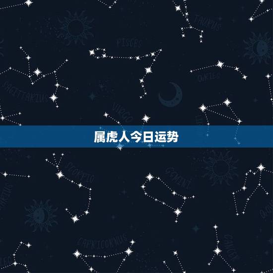 属虎人今日运势，属虎今日财运