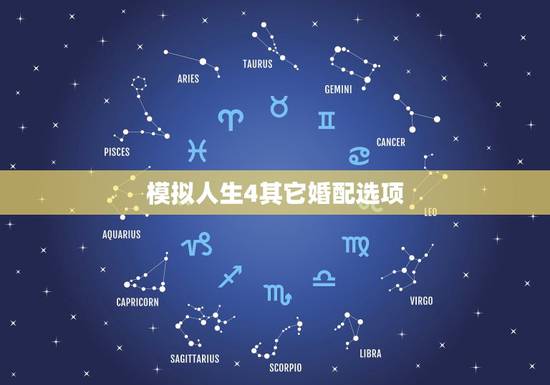 模拟人生4其它婚配选项，模拟人生4有个选项是成为共犯，选了有什么用啊，