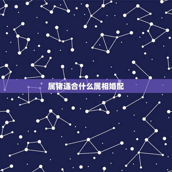 属猪适合什么属相婚配，属猪和什么属相最配