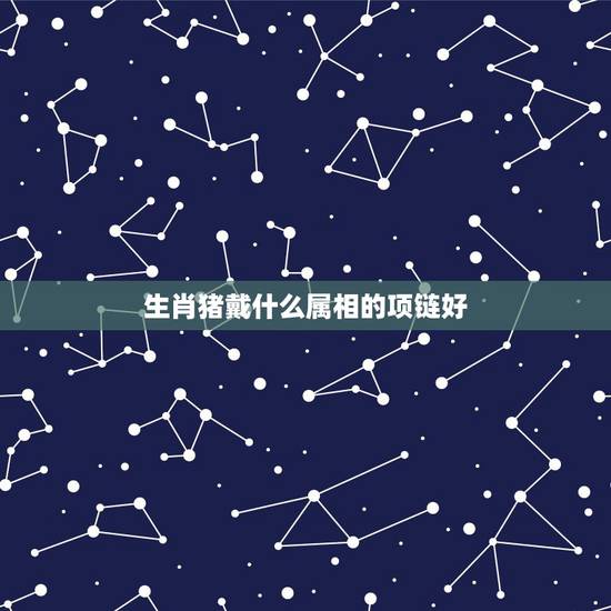 生肖猪戴什么属相的项链好,属猪的人带什么生肖的玉好 生肖猪戴什么属相的项链好,属猪的人带什么生肖的玉好