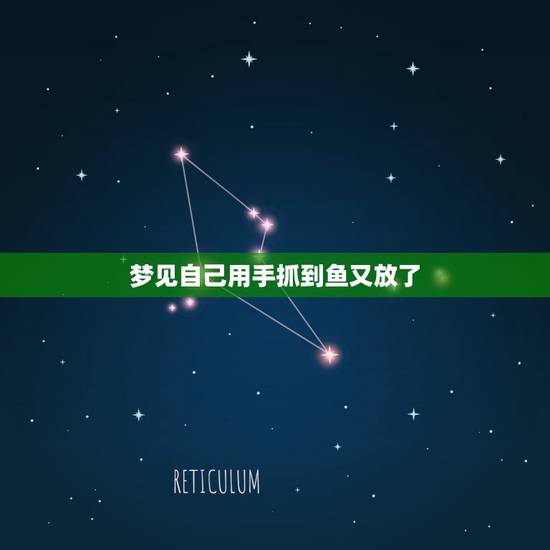 梦见自己用手抓到鱼又放了，已婚女人梦见抓好多鱼