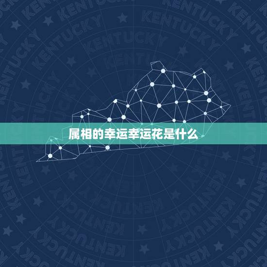 属相的幸运幸运花是什么，属猪的幸运花是什么？