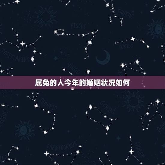 属兔的人今年的婚姻状况如何，属兔女子婚姻如何