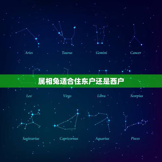 属相兔适合住东户还是西户,87年属兔 火命 适合住什么楼层。东户还是西 属相兔适合住东户还是西户,87年属兔 火命 适合住什么楼层。东户还是西