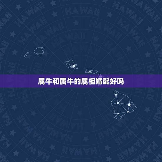 属牛和属牛的属相婚配好吗,属牛的属相婚配表 属牛和属牛的属相婚配好吗,属牛的属相婚配表