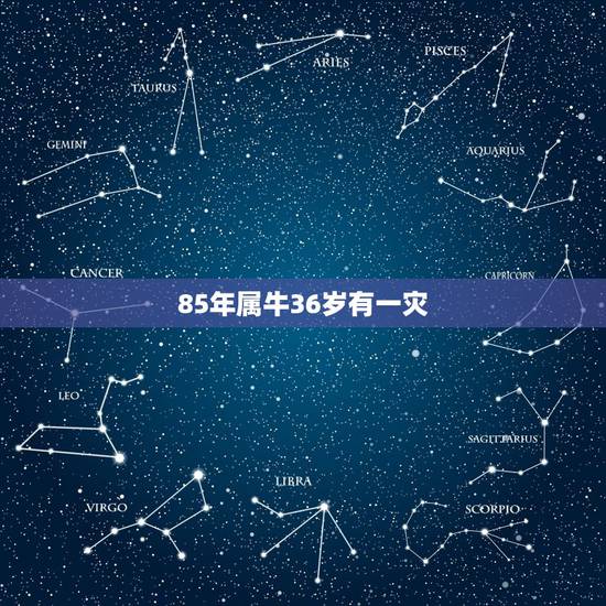 85年属牛36岁有一灾，属牛85年出生，今年是否会有贵人相助
