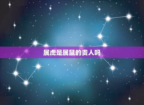 属虎是属鼠的贵人吗，生肖龙的贵人
