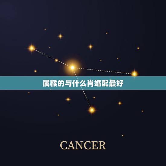 属猴的与什么肖婚配最好,属猴的和什么属相最配 属猴的属相婚配表 属猴的与什么肖婚配最好,属猴的和什么属相最配 属猴的属相婚配表
