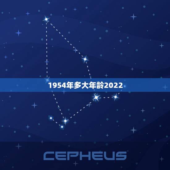 1954年多大年龄2022，2022年属什么生肖多少岁