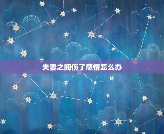 夫妻之间伤了感情怎么办,如果夫妻之间没有感情,该怎么办? 夫妻之间伤了感情怎么办,如果夫妻之间没有感情,该怎么办?