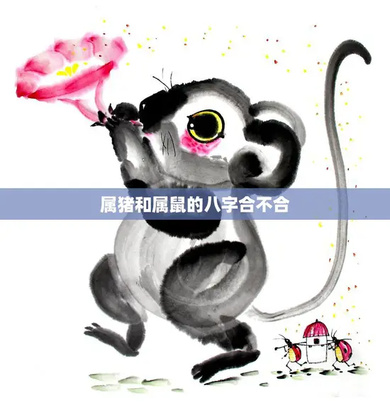 属猪和属鼠的八字合不合(如何看八字合婚) 属猪和属鼠的八字合不合(如何看八字合婚)