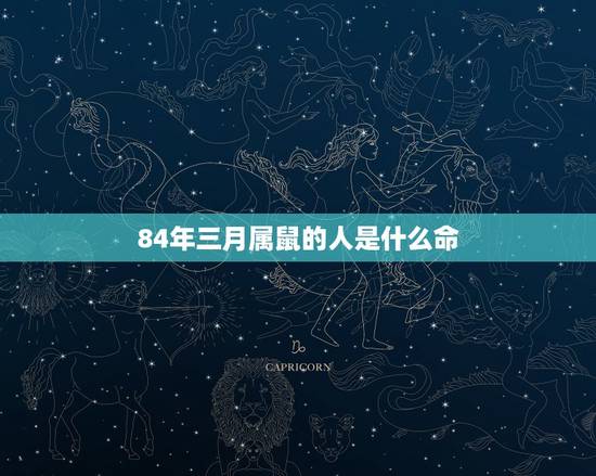 84年三月属鼠的人是什么命,1984年属鼠有几个孩子 84年三月属鼠的人是什么命,1984年属鼠有几个孩子