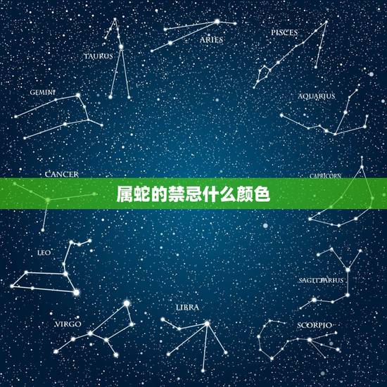 属蛇的禁忌什么颜色，颜色搭配的禁忌