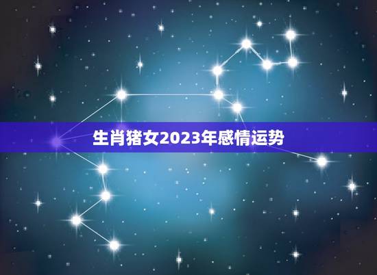 生肖猪女2023年感情运势