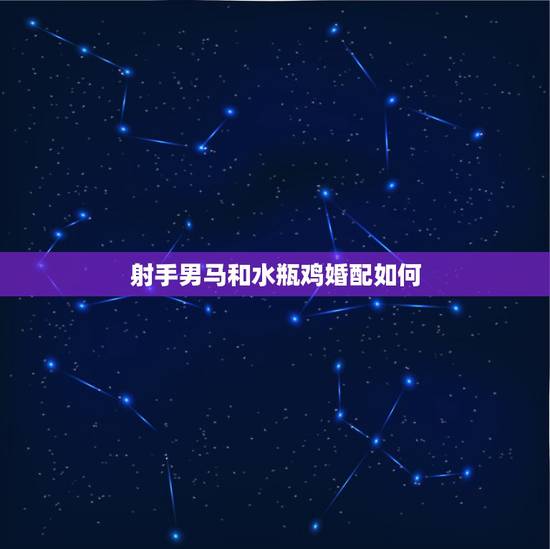 射手男马和水瓶鸡婚配如何，属鸡的93年2月11日水瓶座女和属马的90年