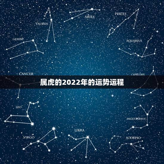 属虎的2022年的运势运程，2022年属虎人的全年运势