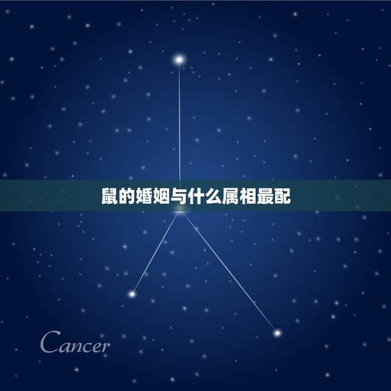 鼠的婚姻与什么属相最配，属鼠的和什么属相最配 属鼠的属相婚配表