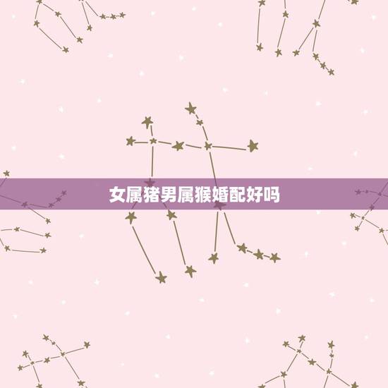女属猪男属猴婚配好吗，女属猪猴配什么生肖更好的
