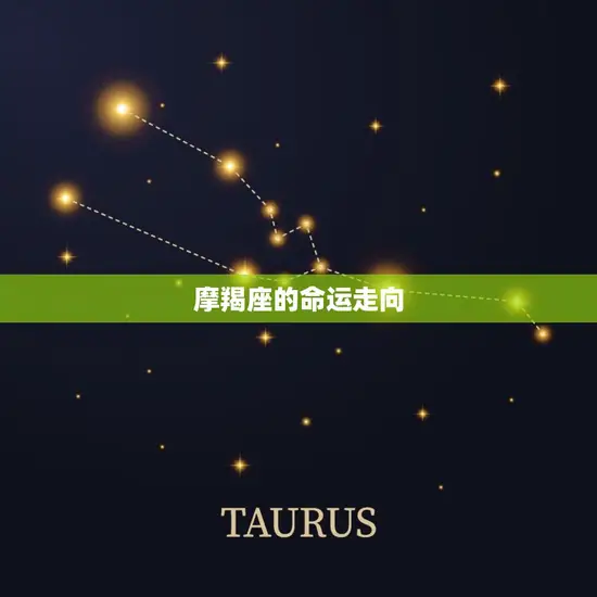 摩羯座的命运走向 摩羯座的命运走向