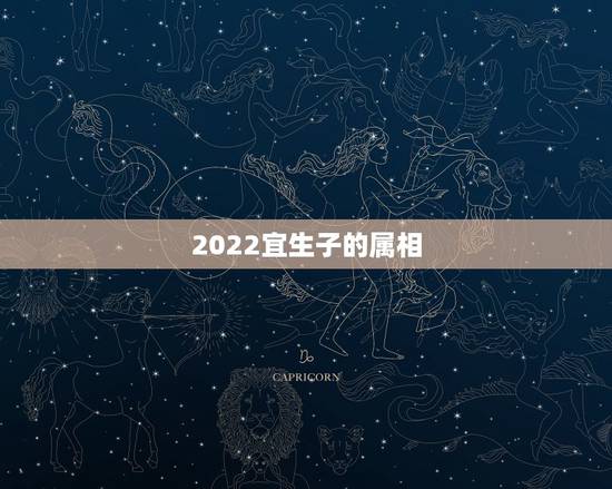 2022宜生子的属相，生孩子，属相